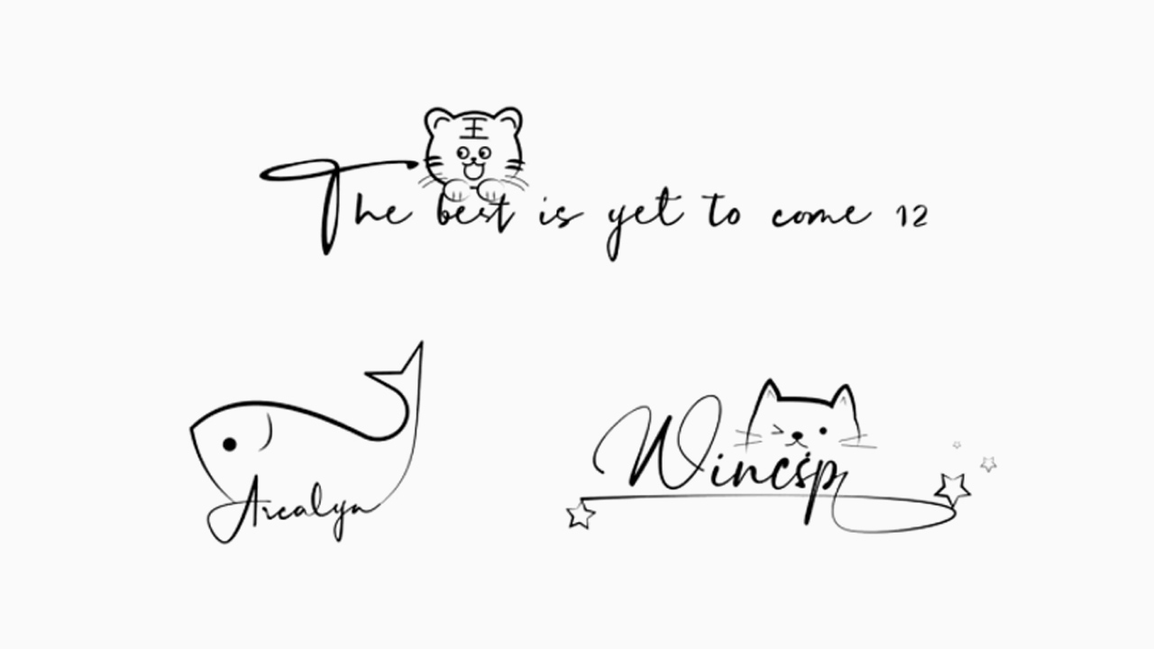 types of signatures