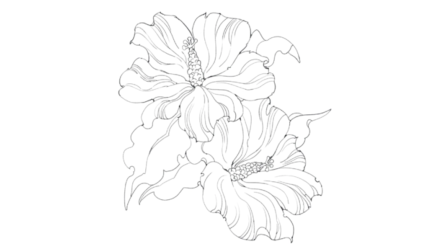 step 4 to draw a hibiscus flower