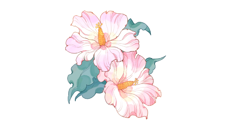 step 6 to draw a hibiscus flower