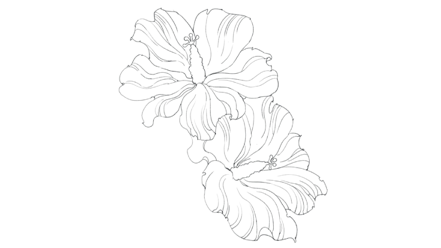 step 3 to draw a hibiscus flower
