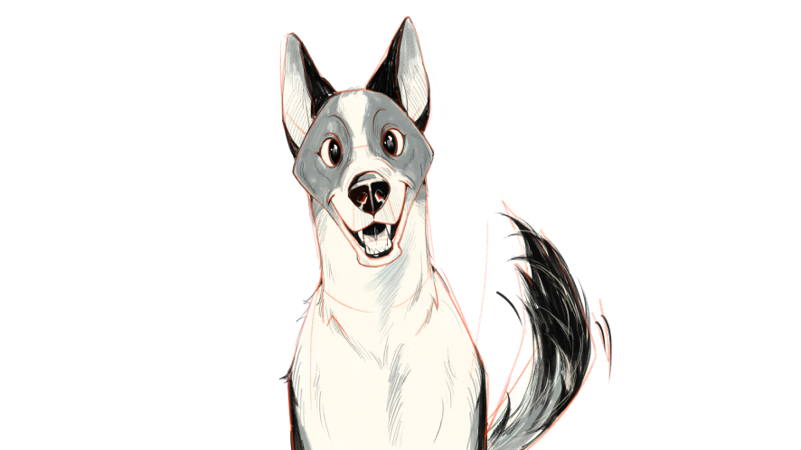 how to draw a husky dog step 7