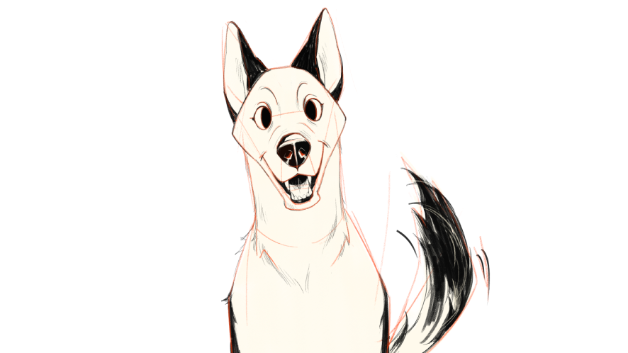 how to draw a husky dog step 4