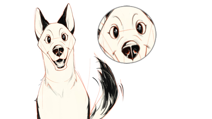 how to draw a husky dog step 5