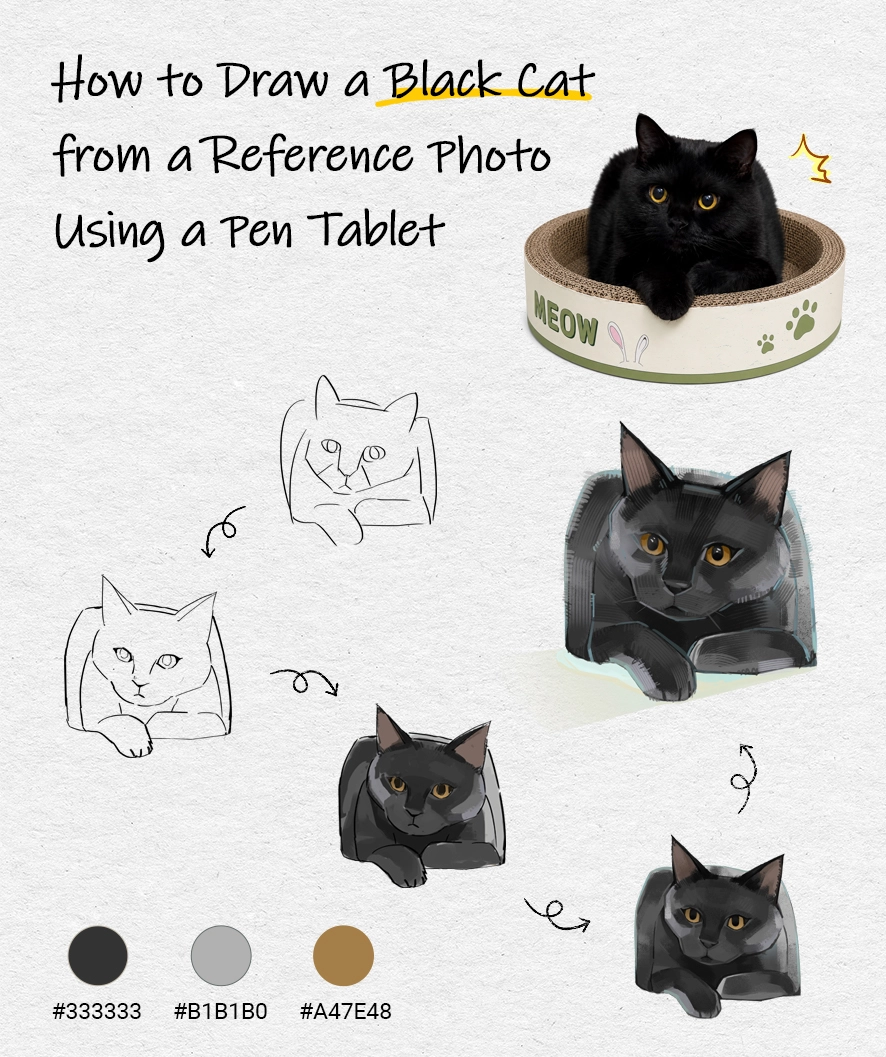 how to draw a black cat from a reference photo using a pen tablet